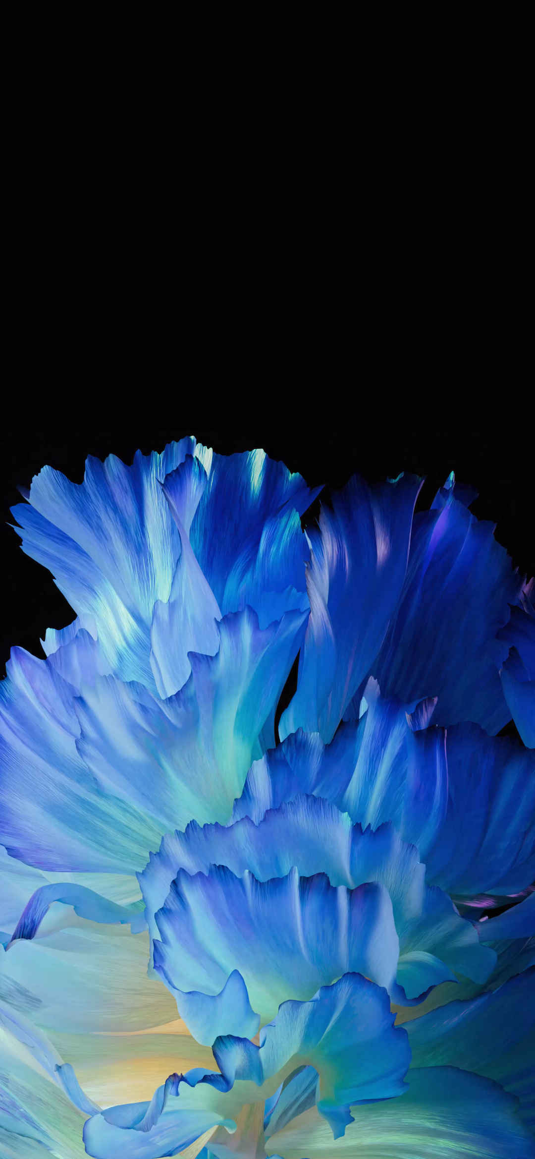 蓝色花瓣 Vivo X 内置高清手机壁纸