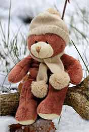 冬天坐在木头上的巨型毛绒小熊超清唯美手机壁纸图片