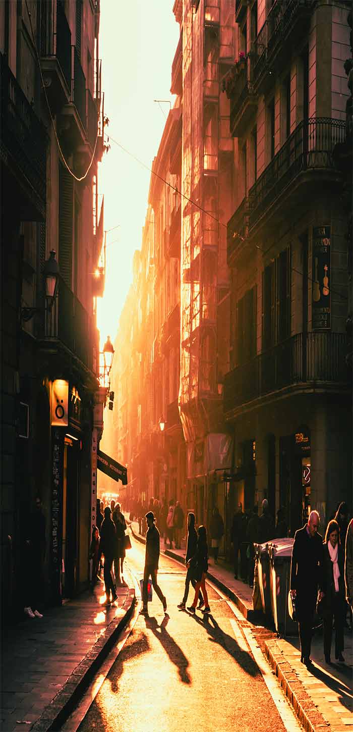 黄昏中的金色街道超清唯美手机壁纸图片