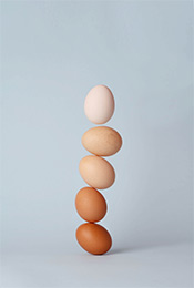 不同颜色下的鸡蛋出去玩唯美手机壁纸图片