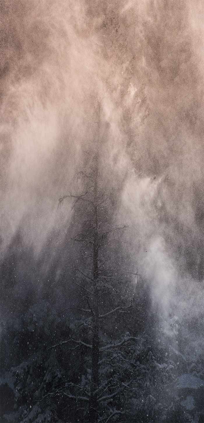 清晨浓雾的山间树林超清唯美手机壁纸图片