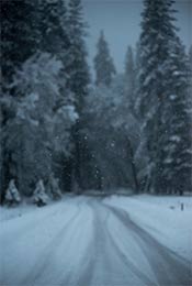 大雪中通向森林深处的大道超清唯美手机壁纸图片