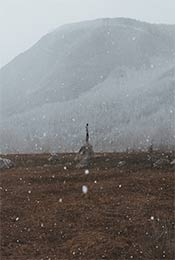 雪中荒野站在石头