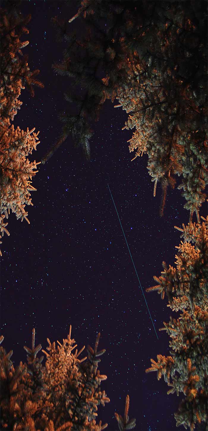 树叶间流星划过的星空超清唯美手机壁纸图片
