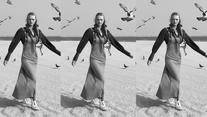 吉玛·沃德黑白写真照片_吉玛·沃德海滩飞鸟图集