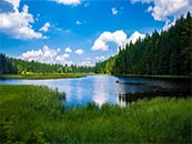 被森林包围的绿色湖泊超清唯美桌面屏保图片