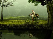 宁静湖泊边上骑单车的老人超清唯美桌面屏保图片