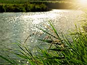 清晨水稻田边的河流超清唯美桌面屏保图片