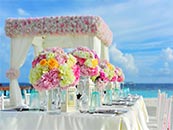 婚礼上的艳丽鲜花超清唯美桌面屏保图片