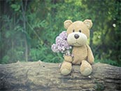 坐在树上的小熊和它抱着的鲜花超清唯美桌面屏保图片