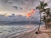 落日中海边沙滩上的椰子树超清唯美桌面屏保图片
