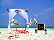 一场海边沙滩上的婚礼超清唯美桌面屏保图片