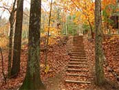 秋天满是落叶的山间小道超清唯美桌面屏保图片