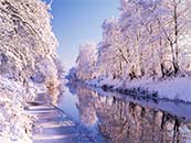 冬天森林中的小河流超清唯美桌面壁纸图片