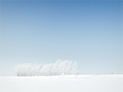 蓝天下完全被雪覆盖的大地超清唯美桌面屏保图片