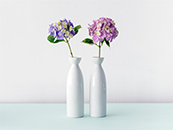 花瓶中的紫色和粉色鲜花超清唯美桌面壁纸图片