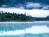 云雾中的森林与湖