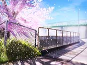 路边的唯美樱花树超清桌面动漫壁纸图片
