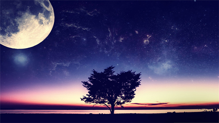 2018中秋壁纸树上的明月与灿烂星空超清唯美桌面壁纸图片
