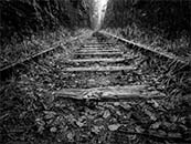 林間通向遠處的廢棄鐵路超清唯美黑白壁紙圖片