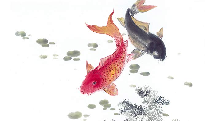 手绘锦鲤成对在水草游动中国风桌面壁纸