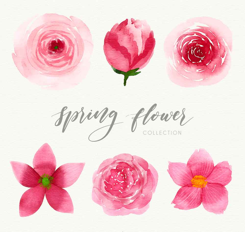 水彩绘春季粉色花卉矢量图