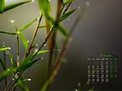 2018年11月绿色护眼植物竹子日历桌面壁纸（图集5）
