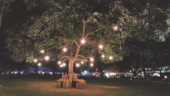 夜色下的灯光树超清唯美桌面壁纸图片