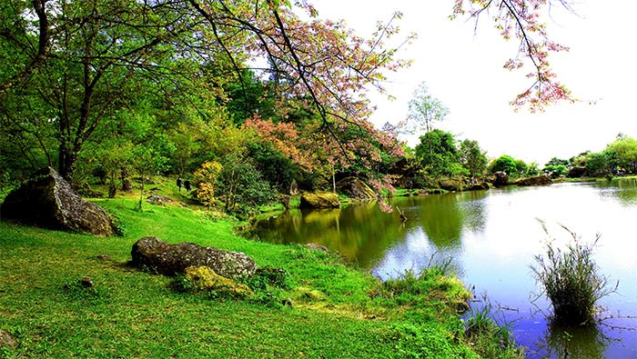 公园中湖边的绿色风景超清唯美自然壁纸图片