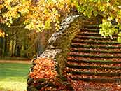 秋天铺满落叶的阶