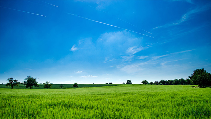 碧蓝天空下的绿色草原超清唯美桌面壁纸图片