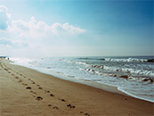 海边沙滩上的一长串脚印超清唯美桌面屏保图片