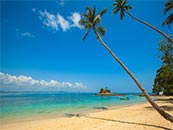 蓝天下海边的椰子树超清唯美桌面屏保图片