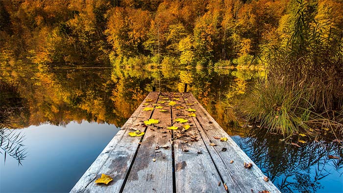 秋天树林中的宁静湖泊超清唯美桌面壁纸图片