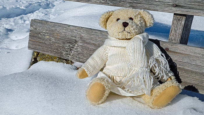 大雪过后坐在木椅上的小熊超清唯美桌面壁纸图片