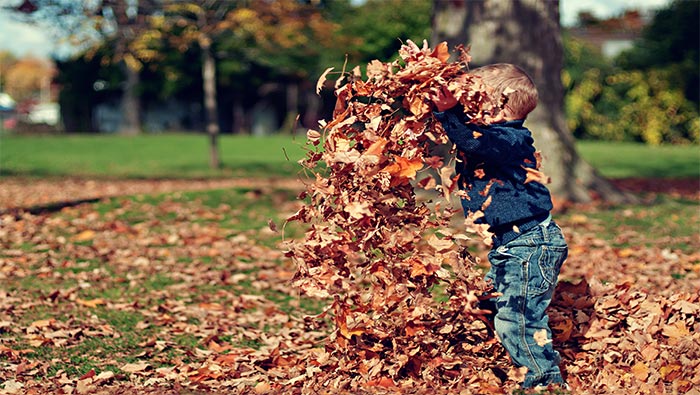 秋天孩子与落叶的游戏超清唯美桌面壁纸图片