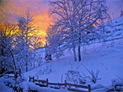 夕阳下的林场雪景