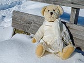 大雪过后坐在木椅上的小熊超清唯美桌面壁纸图片