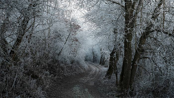 冬天树林间的山上小路超清唯美桌面壁纸图片