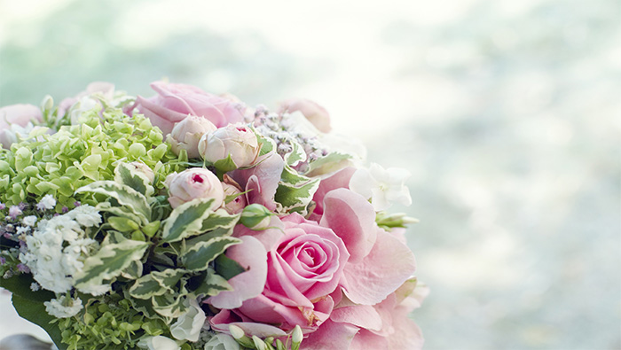 粉色的玫瑰花束超清唯美桌面壁纸图片