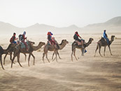 在沙漠中旅行的游客超清唯美桌面壁纸图片