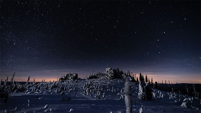 冬天森林上空的安静星空超清唯美桌面壁纸图片