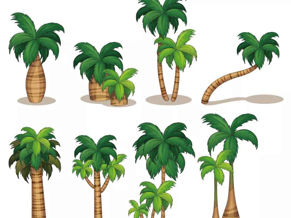 绿色植物椰子树矢量图片下载