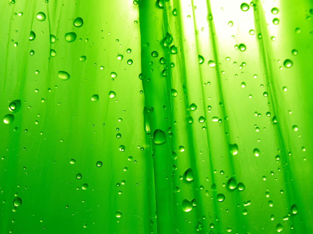 绿色水滴壁纸-Green Simplicity