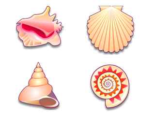 粉色贝壳图标-Sea Shells