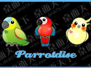 可爱的鹦鹉图标-Parrotdise