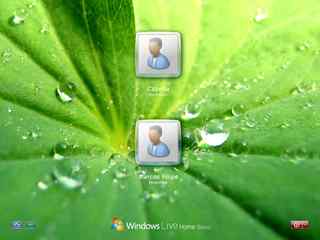 绿色荷叶登陆界面-Windows Live Home Basic Login