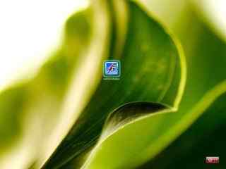 朦胧绿叶登录界面-aero Leaf Logon for XP