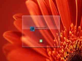 清晰花卉登陆界面-Flower Logon XP
