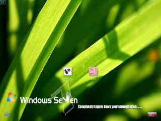 绿叶登陆界面-Se7en Alternative Logon for XP